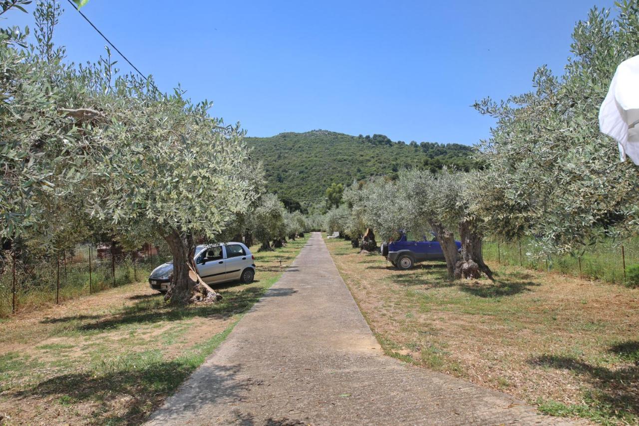 Skopelos Evergreen Apartments สตาฟิลอส ภายนอก รูปภาพ